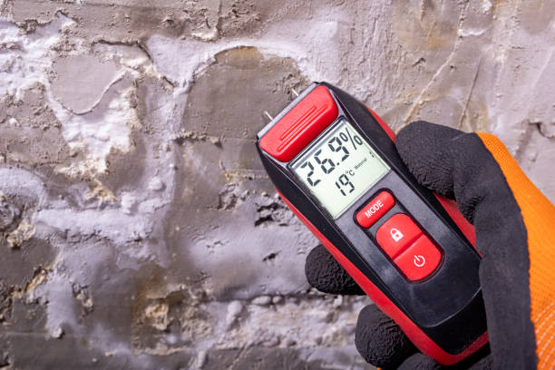 Best Mold Testing  in Marissa, IL