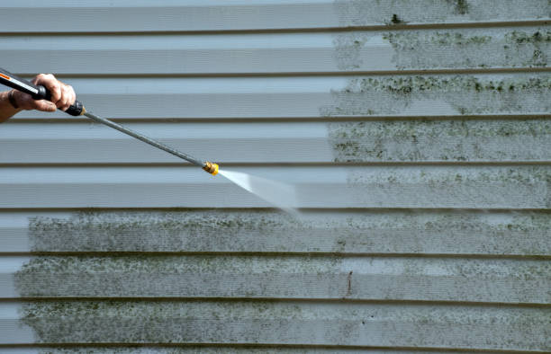 Attic Mold Removal in Marissa, IL